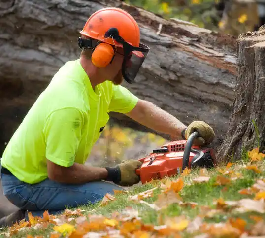 tree services Wright-Patterson AFB